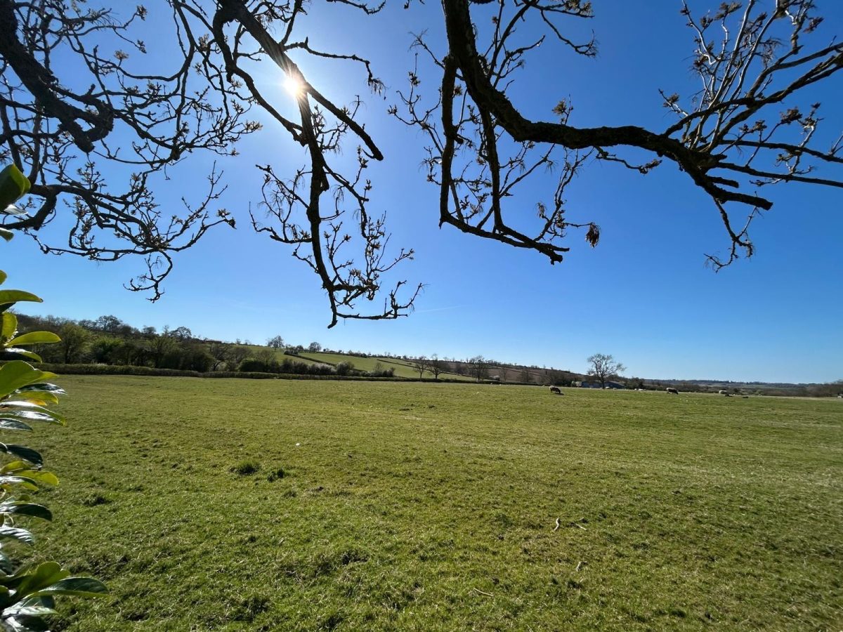 Office in Rugby - photo 4