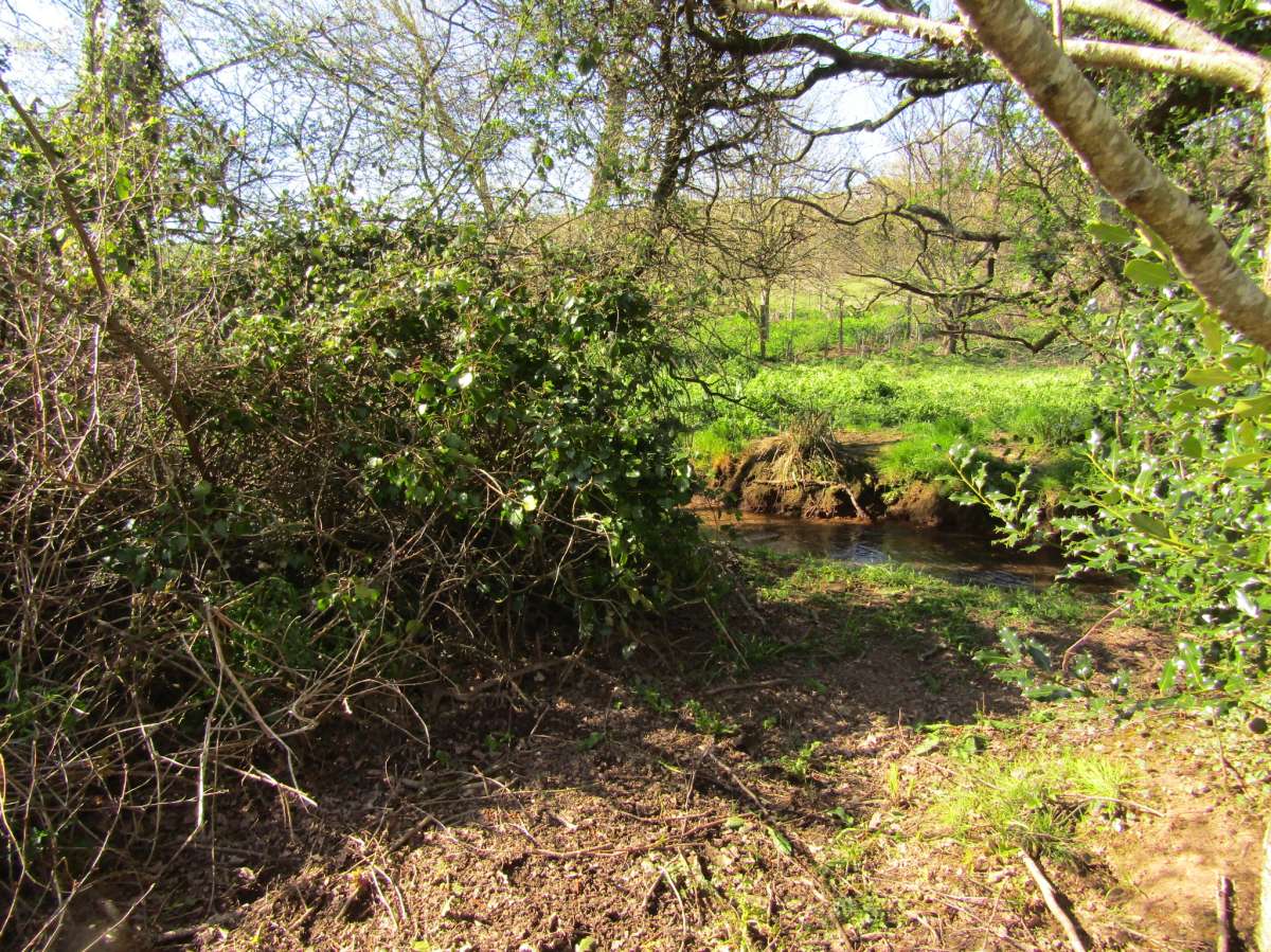 Land in Kingsbridge - photo 3